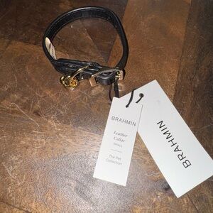 NWT Brahmin Black pet Leather Collar (SMALL) hard to find